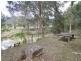 1652 Wollombi Road, Millfield NSW 2325