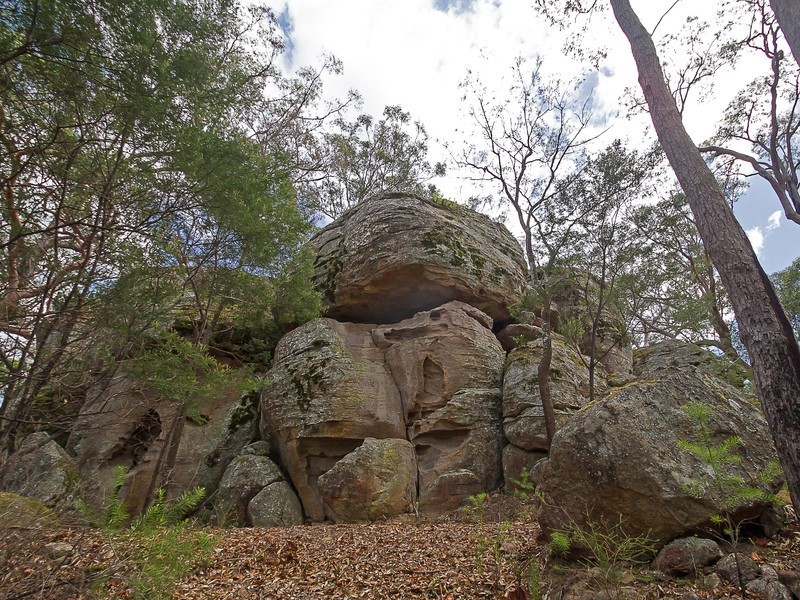 1652 Wollombi Road, Millfield NSW 2325