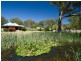148 Debeyers Road, Pokolbin NSW 2320