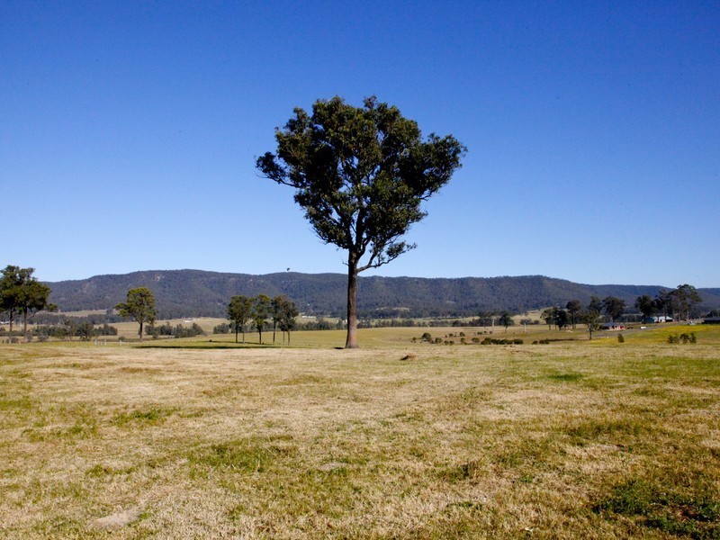 Millfield Road, Millfield NSW 2325