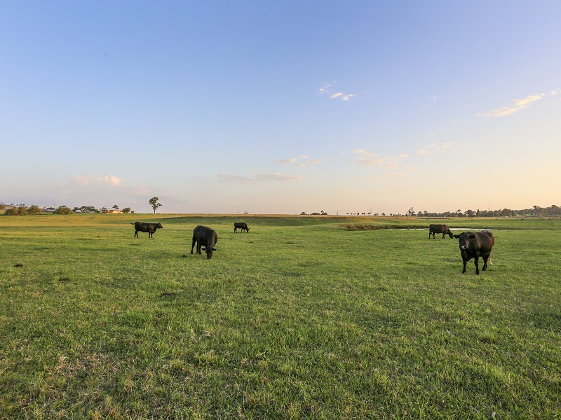 332 Standen Drive, Lower Belford NSW 2335