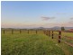 332 Standen Drive, Lower Belford NSW 2335