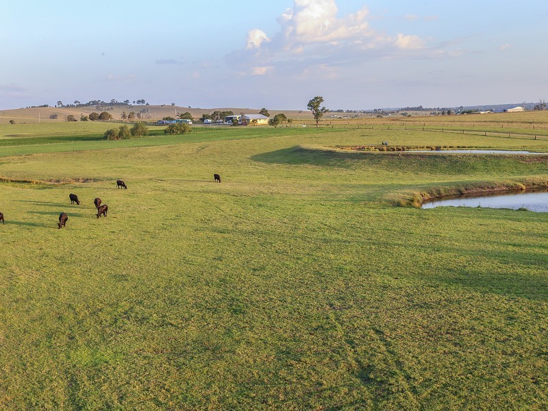 332 Standen Drive, Lower Belford NSW 2335