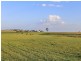 332 Standen Drive, Lower Belford NSW 2335