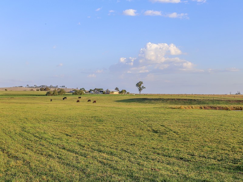 332 Standen Drive, Lower Belford NSW 2335