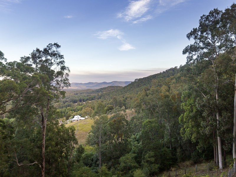 37 Moon Mountain Drive, Mount View NSW 2325