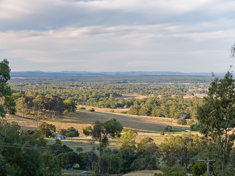 37 Moon Mountain Drive, Mount View NSW 2325