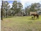 8 Sutton Grove, Branxton NSW 2335
