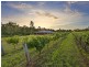 160 Londons Road, Lovedale NSW 2325