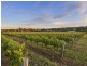 160 Londons Road, Lovedale NSW 2325