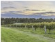 160 Londons Road, Lovedale NSW 2325