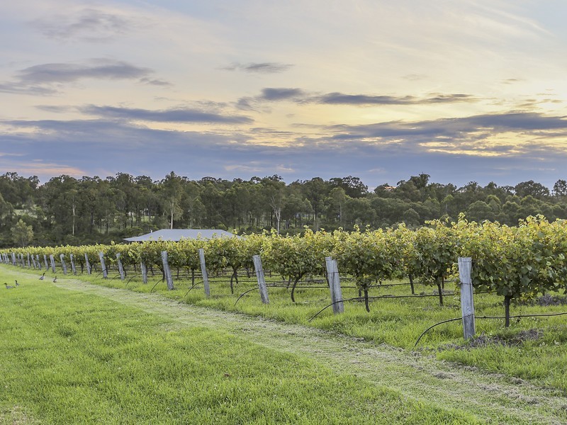 160 Londons Road, Lovedale NSW 2325