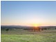 Lot 1 Pyrus Avenue, Branxton NSW 2335