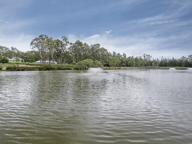 Lot 35 Kelman Estate, Pokolbin NSW 2320