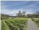 Lot 35 Kelman Estate, Pokolbin NSW 2320