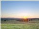 Lot 1 Pyrus Avenue, Branxton NSW 2335