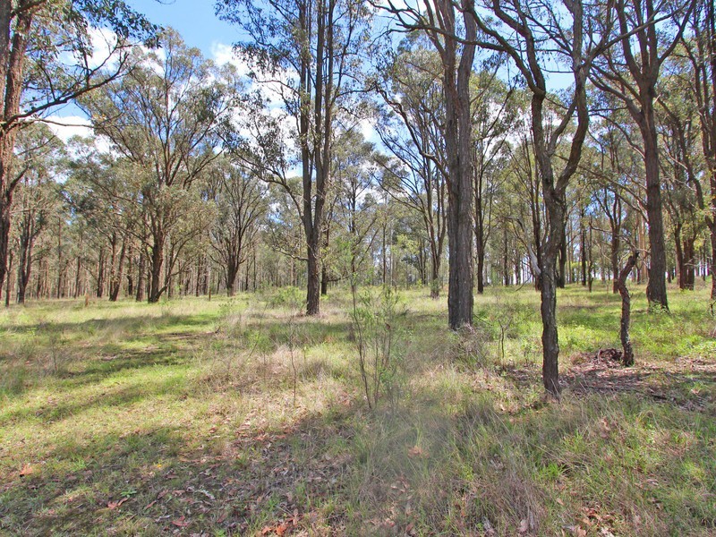 148 Allandale Road, Allandale NSW 2320