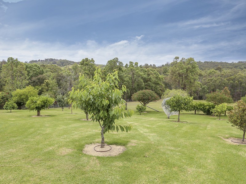 120 Wollong Road, Quorrobolong NSW 2325