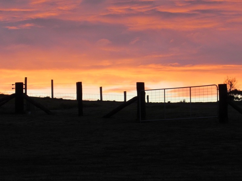 47 River Road, Windella NSW 2320