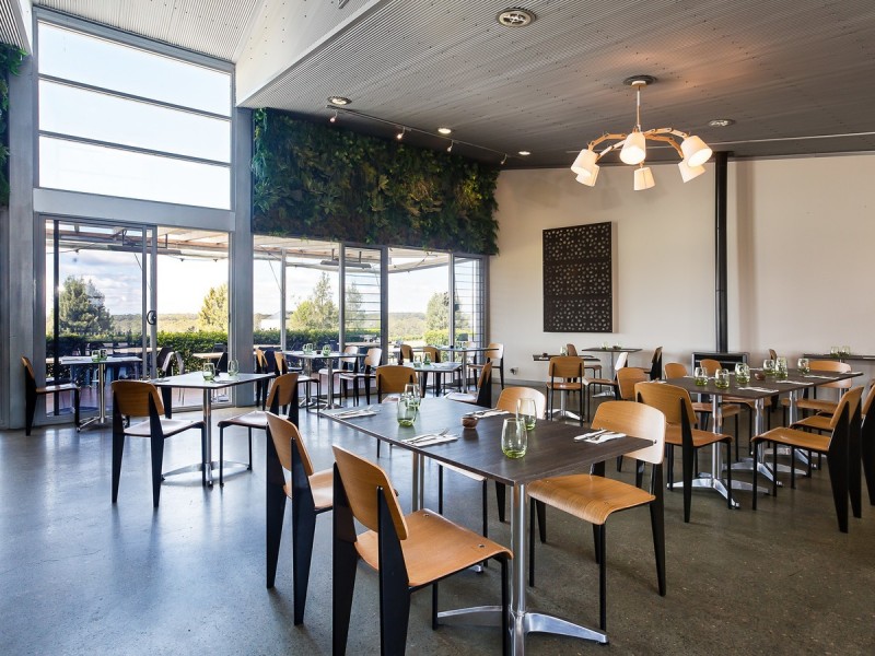 492 Lovedale Road, Lovedale NSW 2325