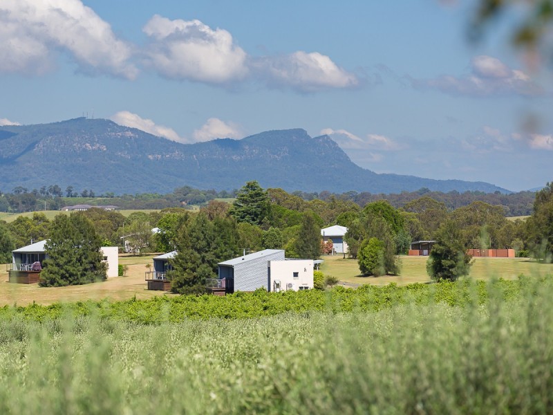 492 Lovedale Road, Lovedale NSW 2325