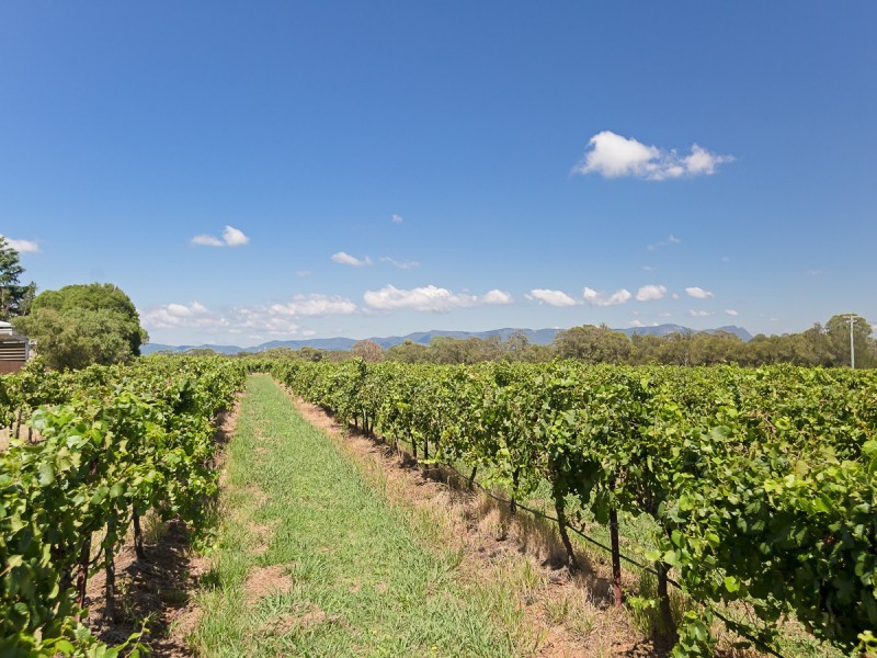 492 Lovedale Road, Lovedale NSW 2325