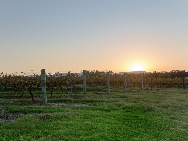 352 Wilderness Road, Lovedale NSW 2325