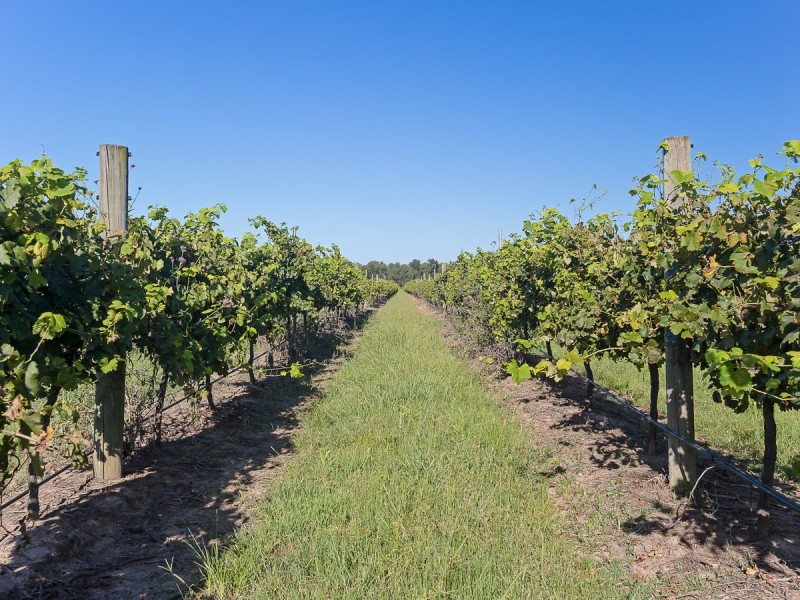 352 Wilderness Road, Lovedale NSW 2325