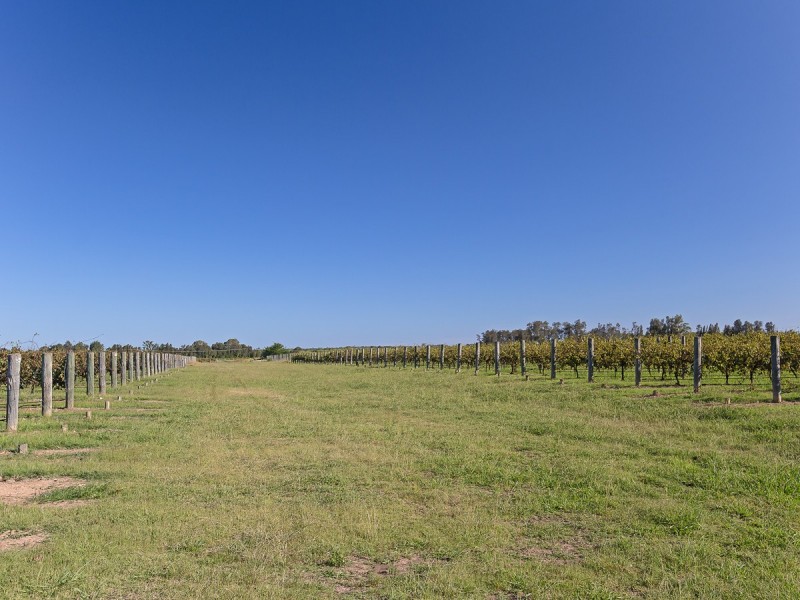 352 Wilderness Road, Lovedale NSW 2325