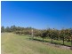 352 Wilderness Road, Lovedale NSW 2325