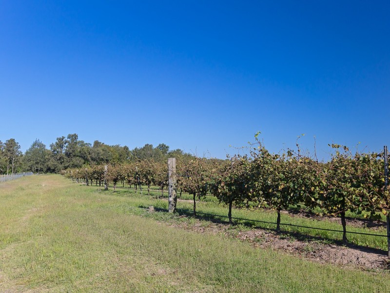 352 Wilderness Road, Lovedale NSW 2325