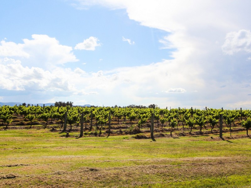 352 Wilderness Road, Lovedale NSW 2325