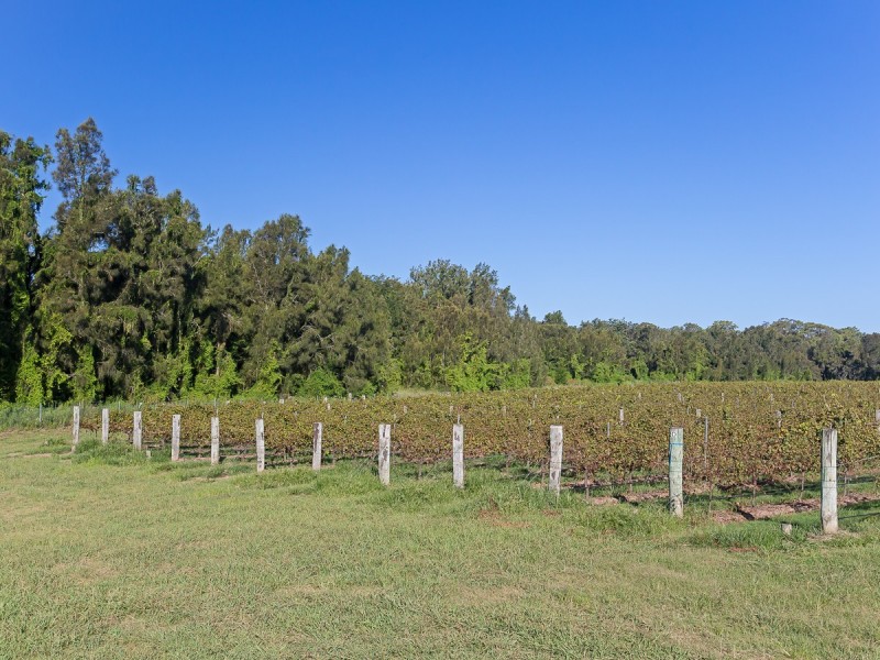 352 Wilderness Road, Lovedale NSW 2325