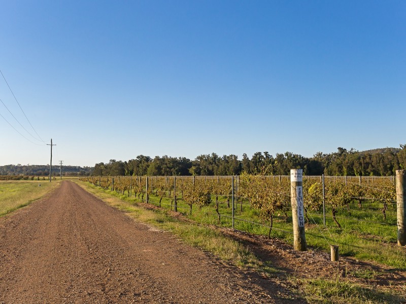 352 Wilderness Road, Lovedale NSW 2325