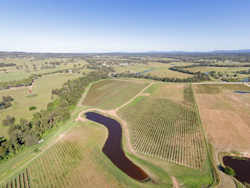 352 Wilderness Road, Lovedale NSW 2325