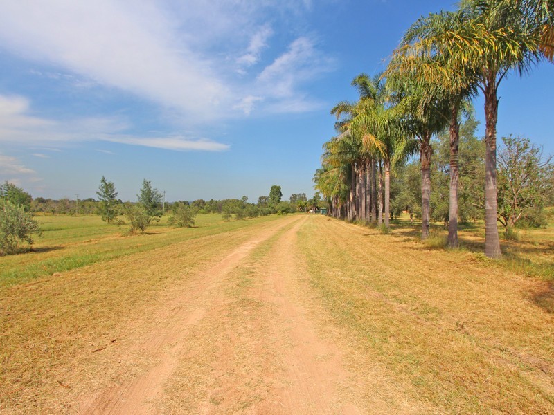 192 The Inlet Road, Bulga NSW 2330