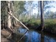 282 Quorrobolong Road, Quorrobolong NSW 2325