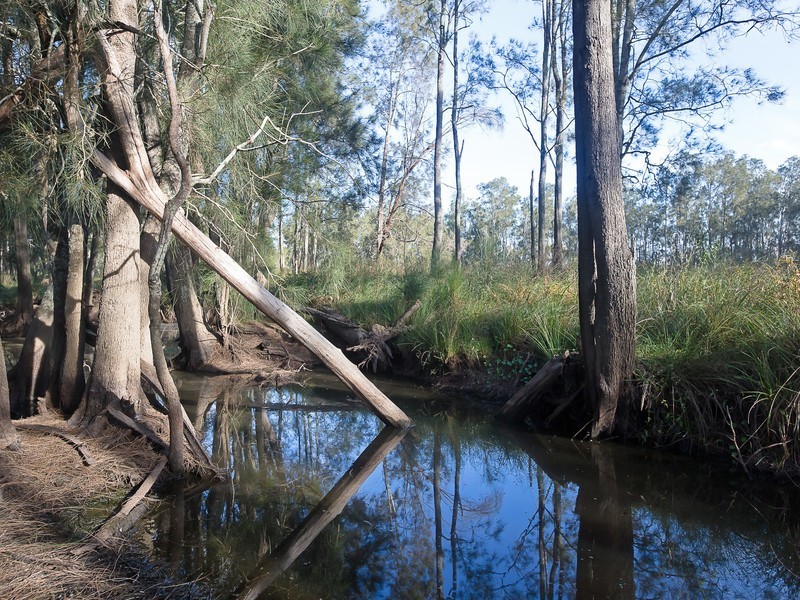 282 Quorrobolong Road, Quorrobolong NSW 2325
