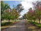 282 Quorrobolong Road, Quorrobolong NSW 2325