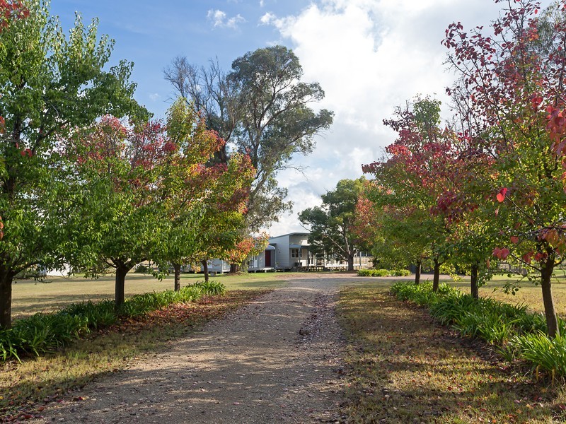 282 Quorrobolong Road, Quorrobolong NSW 2325