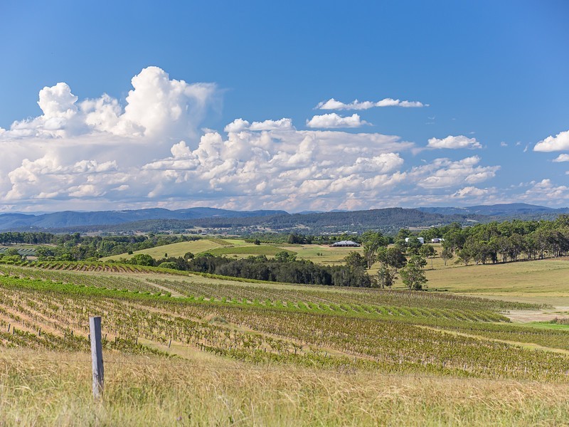 119 Marrowbone Road, Pokolbin NSW 2320