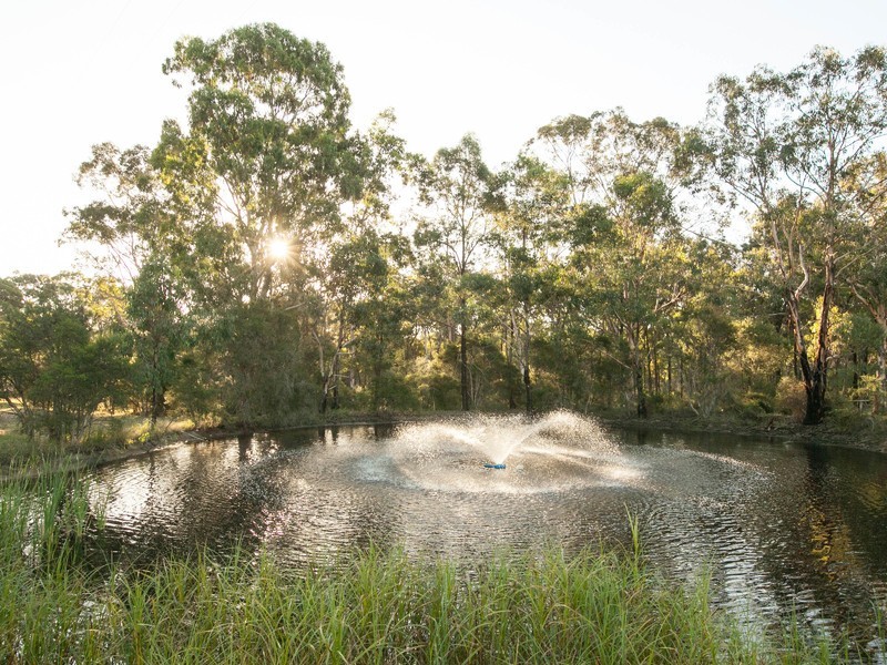 1464 Sandy Creek Road, Quorrobolong NSW 2325