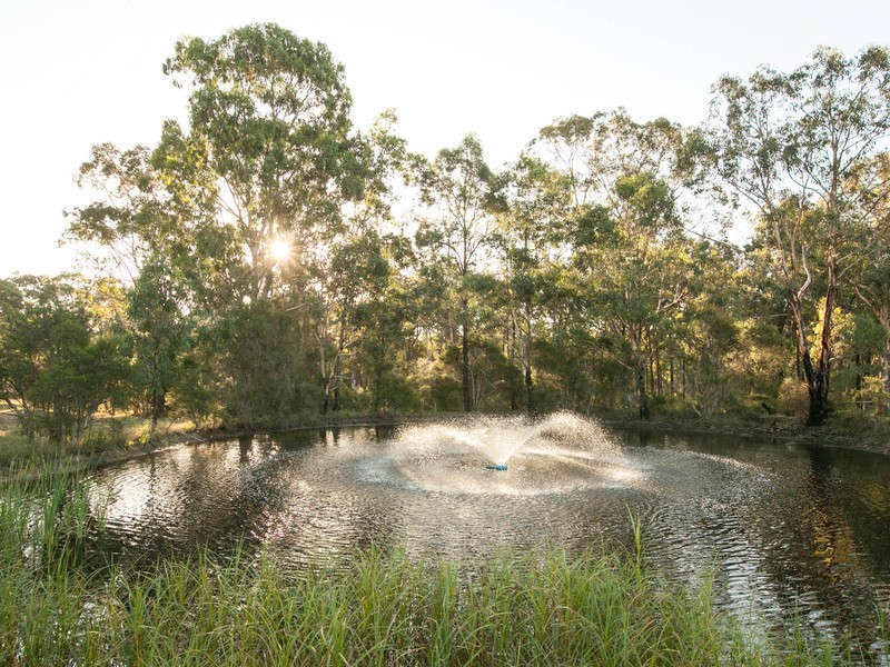 1464 Sandy Creek Road, Quorrobolong NSW 2325