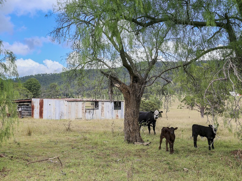 21 Echidna Close, Bellbird NSW 2325