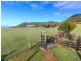 623 Lambs Valley Road, Branxton NSW 2335