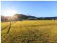 623 Lambs Valley Road, Branxton NSW 2335