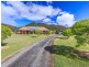 623 Lambs Valley Road, Branxton NSW 2335