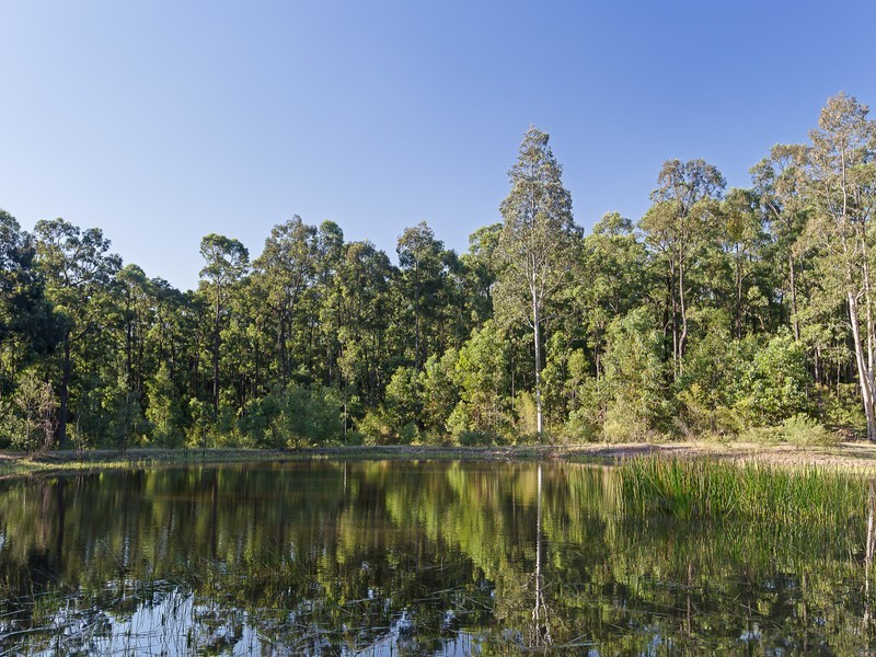 197 Londons Road, Lovedale NSW 2325