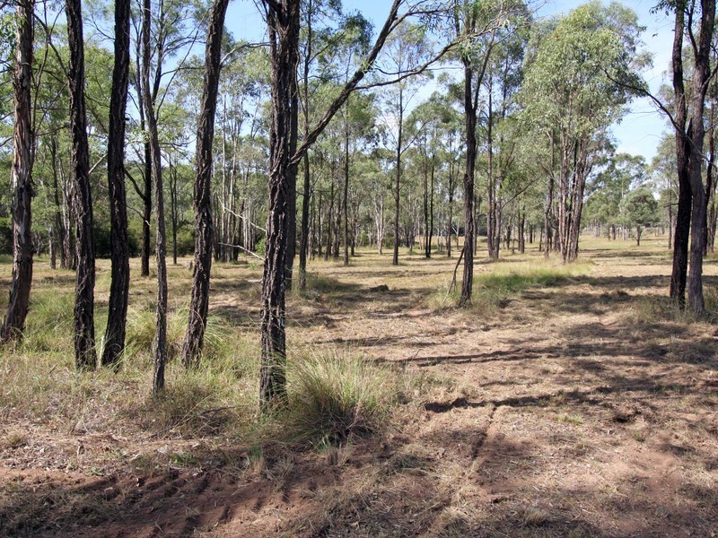 Lot 1,  Wine Country Drive, Rothbury NSW 2320