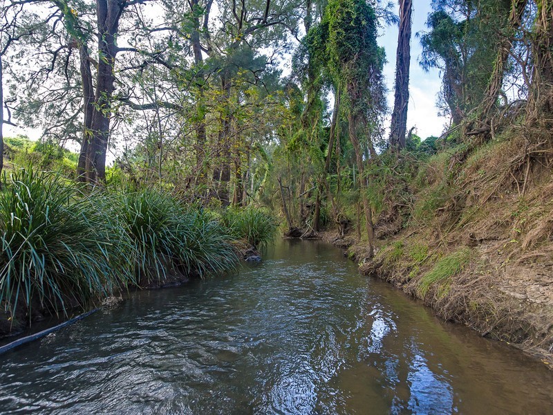 475 Lovedale Road, Lovedale NSW 2325